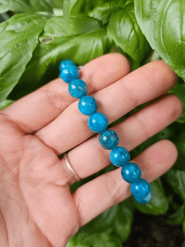 Apatite bleue - Bracelet avec perles de 10 mm