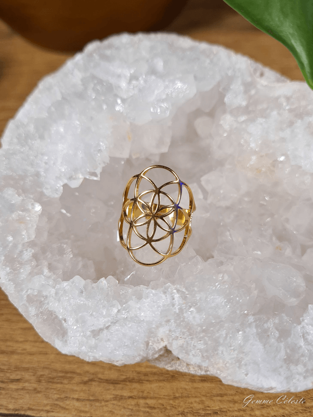 Bague "L'Origine"