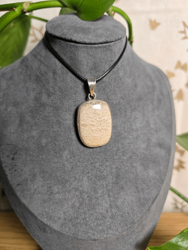 Pendentif Corail Fossile, argent 925 (Qualité AA)