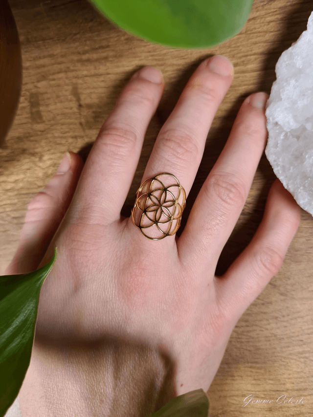 Bague "L'Origine"