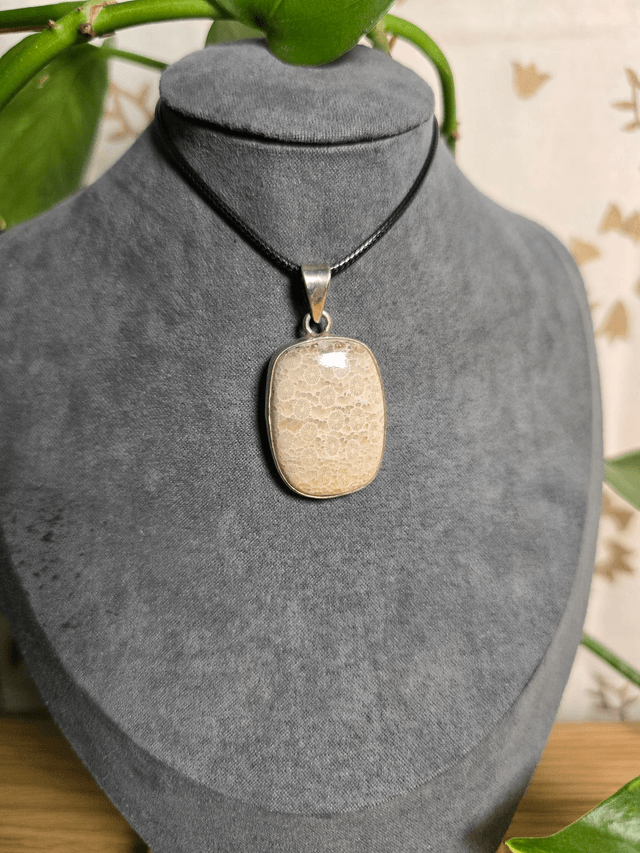 Pendentif Corail Fossile, argent 925 (Qualité AA)