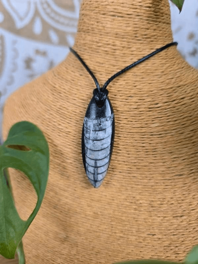 Orthocère fossile - Pendentif pierre percée