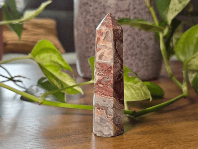 Agate "Crazy Lace" - Tour polie avec cristallisation